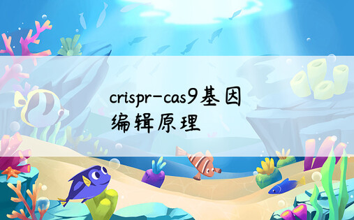 crispr-cas9基因编辑原理